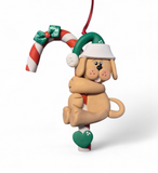 Candy Cane Dog