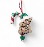 Candy Cane Cat